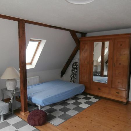 Halle  Ferienwohnung Saaleblick מראה חיצוני תמונה