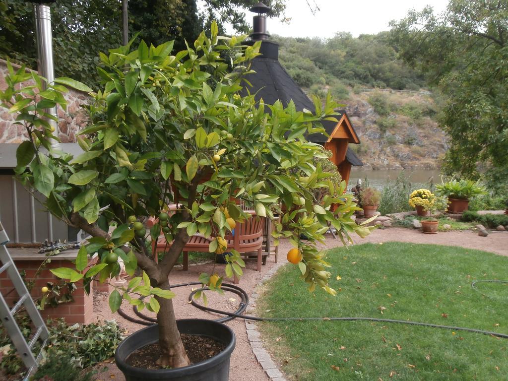 Halle  Ferienwohnung Saaleblick מראה חיצוני תמונה