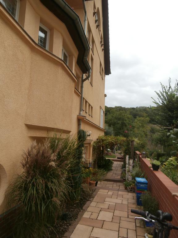 Halle  Ferienwohnung Saaleblick מראה חיצוני תמונה